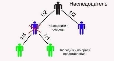 Понимание роли права представления в наследовании