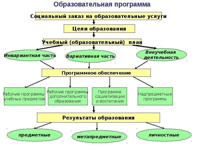 Популярные образовательные программы и требования к ним