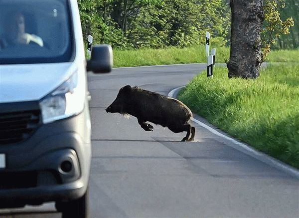 Что считается ДТП, а что — нет
