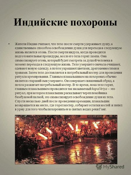 Какие государственные услуги будет оказывать?