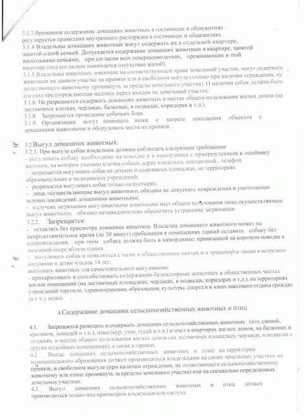 Какие породы нельзя содержать в квартире