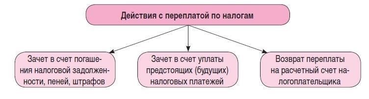 Процесс возврата излишне уплаченных налоговых обязательств