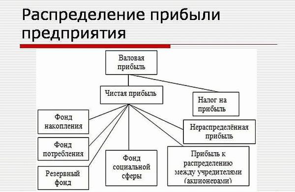 Сроки и последствия просрочки представления деклараций