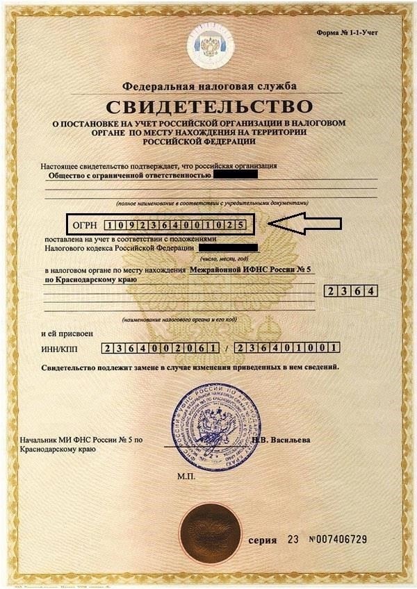 Регистрационная информация: Официальный юридический адрес и налоговые коды
