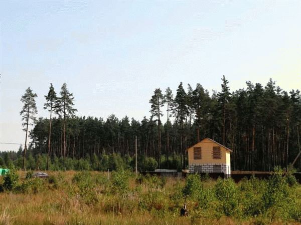 Какие ошибки могут быть допущены при совершении межевания?