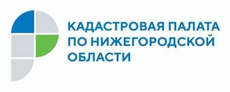 Какие юридические шаги можно предпринять для защиты своих интересов
