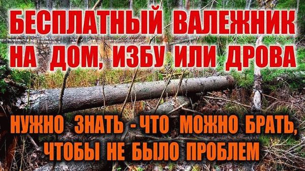 Что относится к валежнику и недревесным ресурсам
