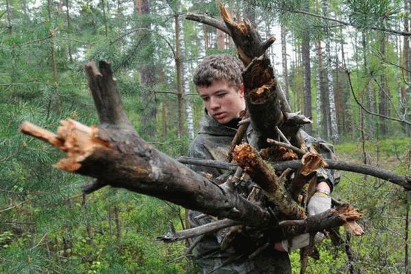 Сбор валежника в разных регионах России