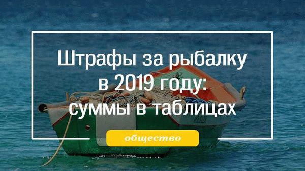 Профессиональные услуги: законно и качественно подключаемся к сливу