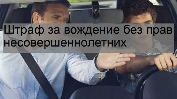 Описание законодательства и штрафных санкций