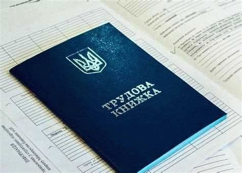 Сроки оформления