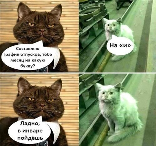 Какие документы необходимы для подтверждения заявления на отпуск по семейным обстоятельствам