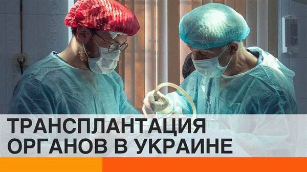 Необходимая документация для становления донором в Тюмени