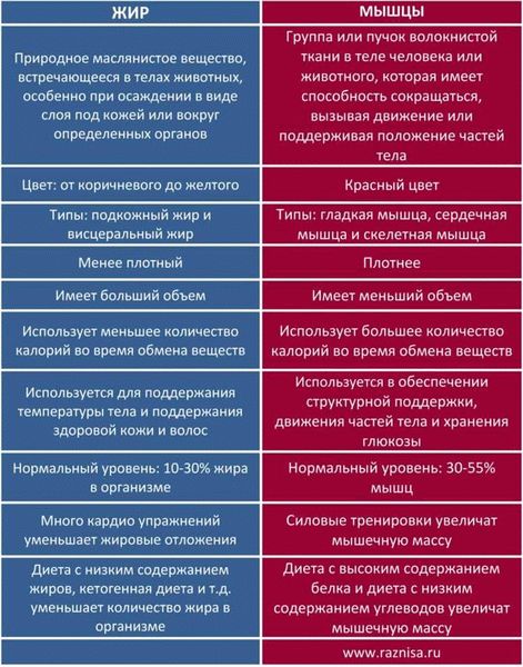 Выводы
