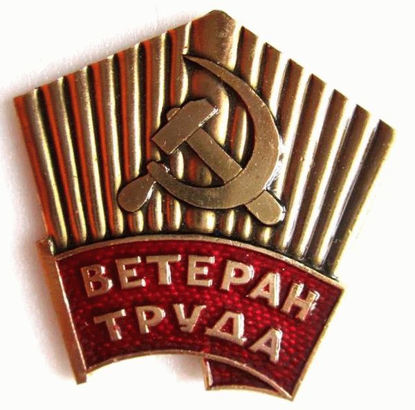 Опыт ветеранов: ценность и мудрость