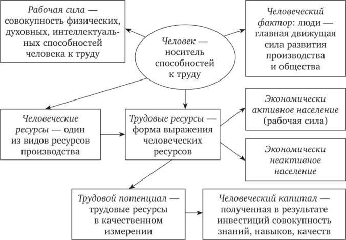 Влияние экономических и политических факторов на стабильность рабочей силы