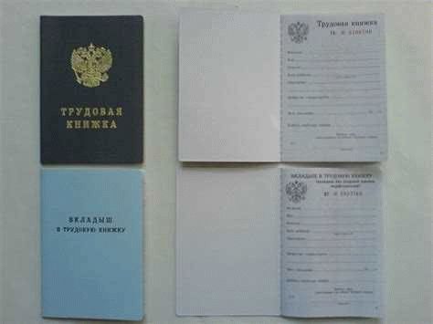 На основании каких документов вносятся записи в дубликат трудовой книжки
