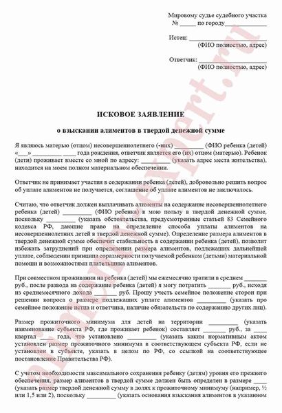 Как использовать бланк при возражении на исковое заявление?