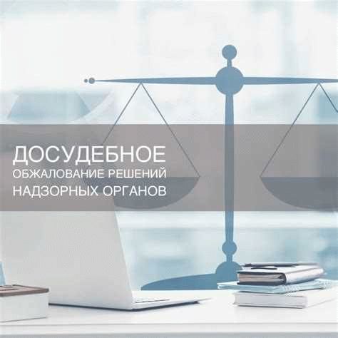 Верховный Суд уточнил порядок обжалования решений по делам