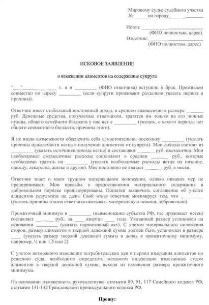 Основные шаги для подачи встречного иска