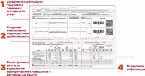 Какие возможности у наследника при наличии совместного долга