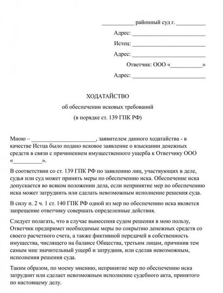 Понятие и основные принципы ходатайства истца в суд