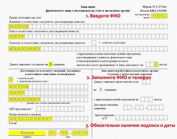 Альтернативные способы замены ИНН