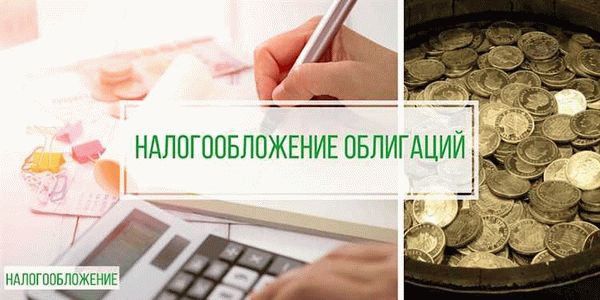 Контакты и адреса налоговых органов:
