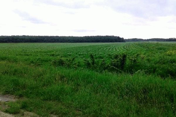 Выделение земельного пая наследникам